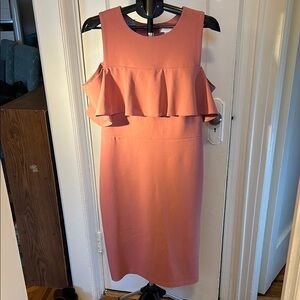 Elegant Pink Ruffle Dress